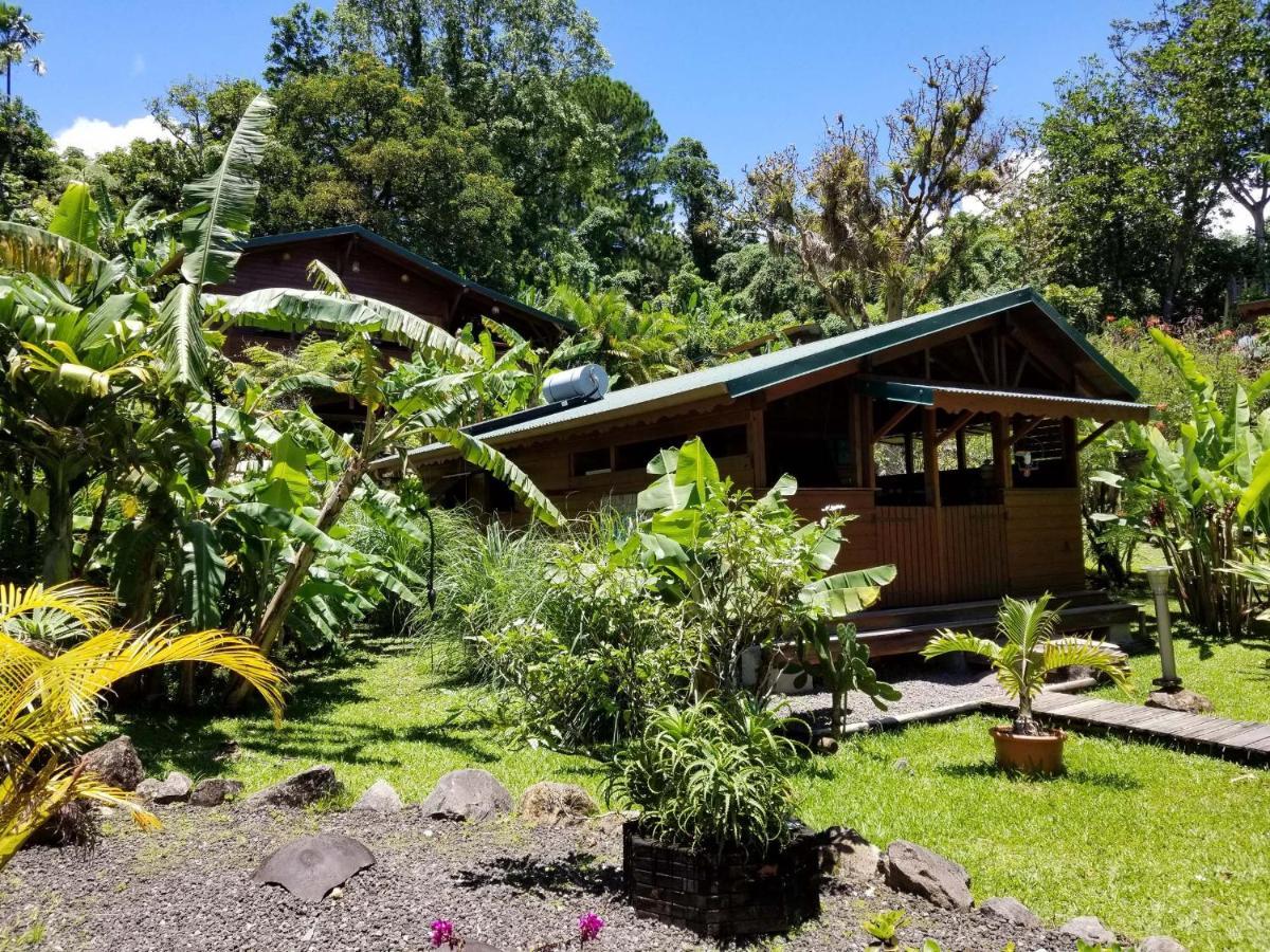 Les Bananes Vertes Ecolodges 생클로드 외부 사진