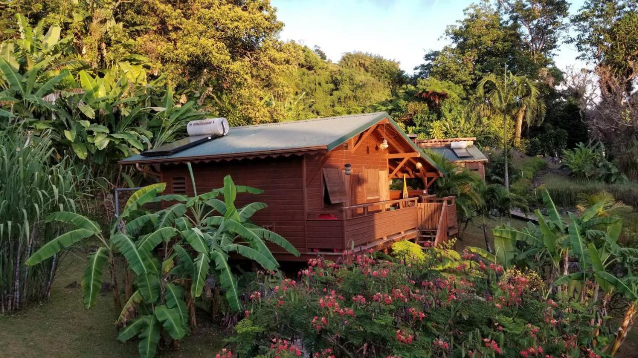 Les Bananes Vertes Ecolodges 생클로드 외부 사진