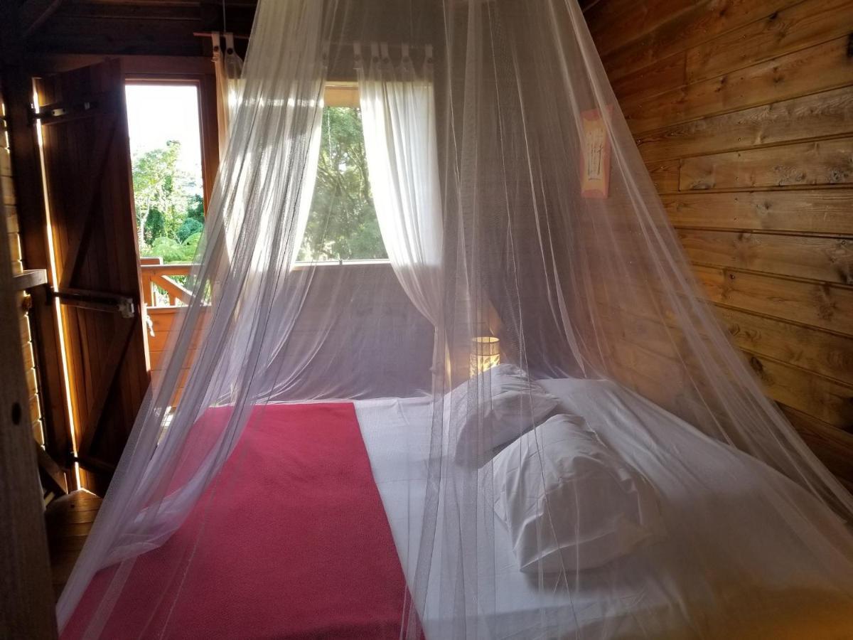 Les Bananes Vertes Ecolodges 생클로드 외부 사진