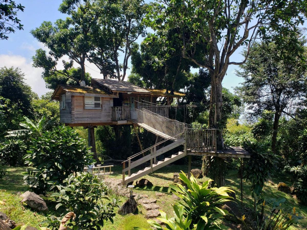 Les Bananes Vertes Ecolodges 생클로드 외부 사진