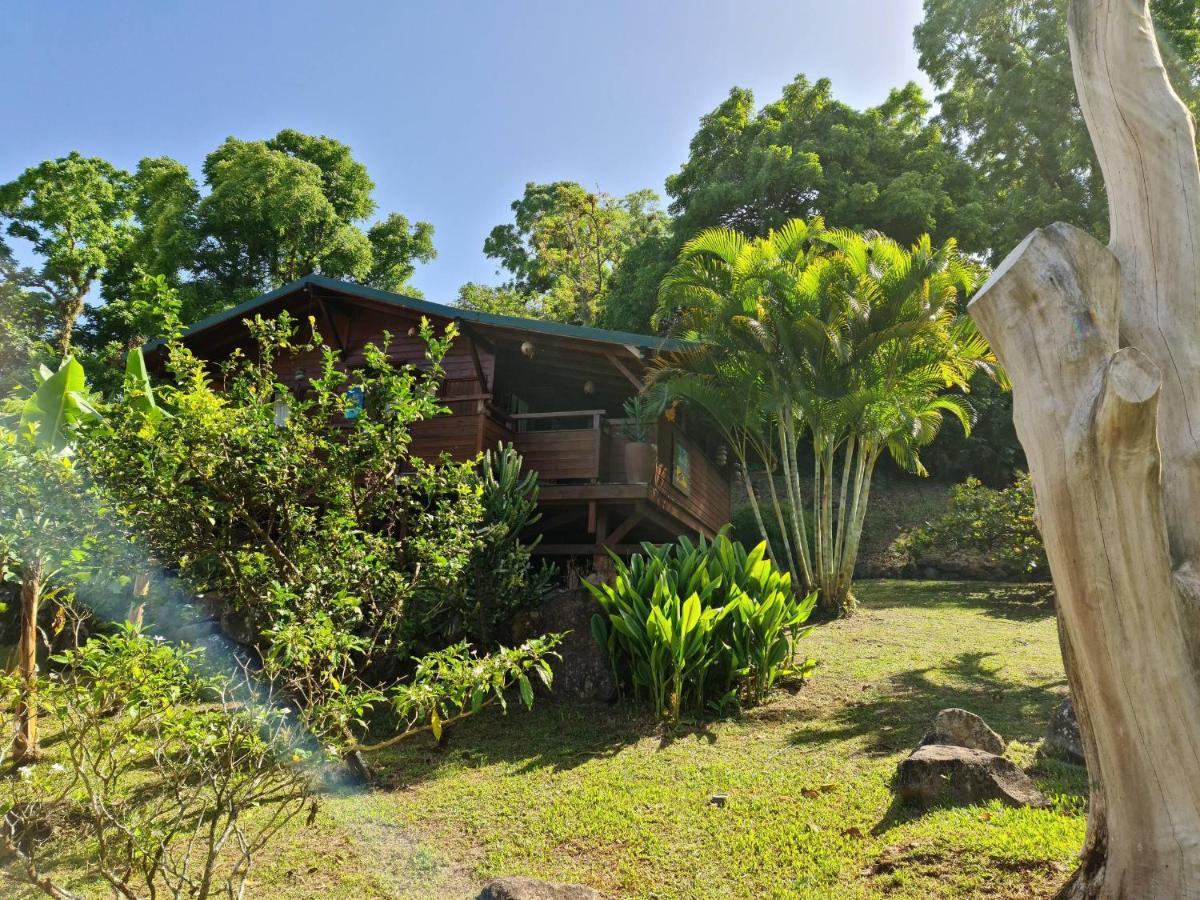 Les Bananes Vertes Ecolodges 생클로드 외부 사진