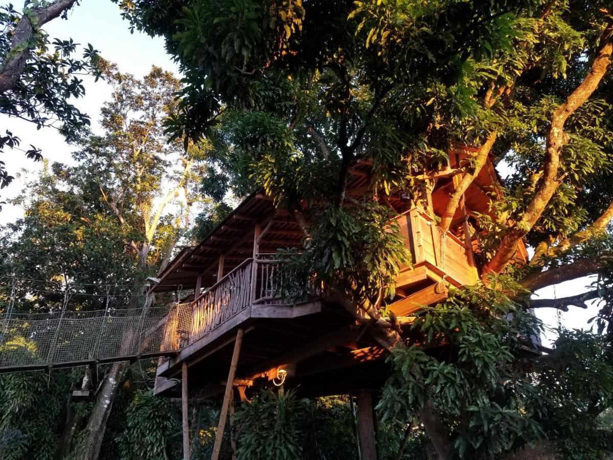 Les Bananes Vertes Ecolodges 생클로드 외부 사진