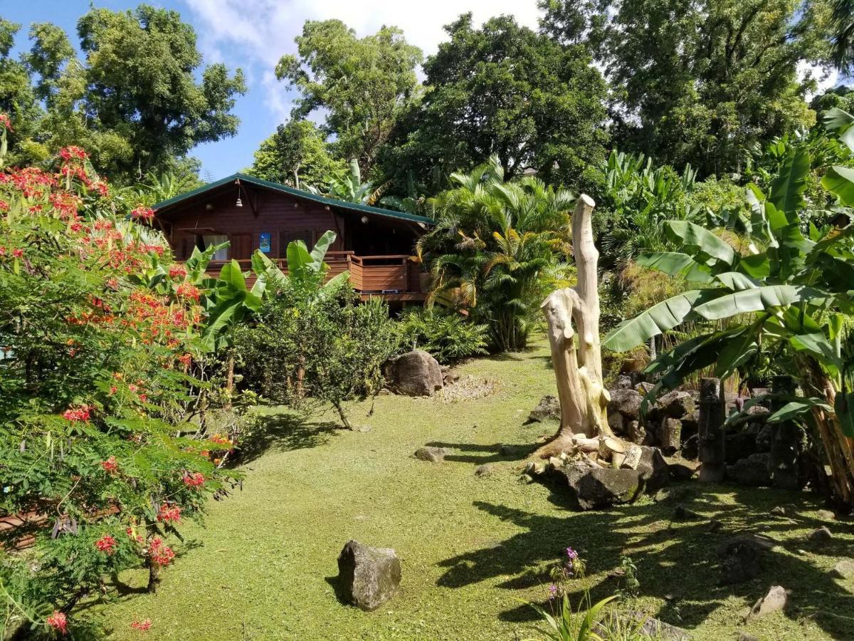 Les Bananes Vertes Ecolodges 생클로드 외부 사진