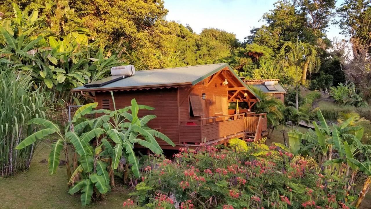 Les Bananes Vertes Ecolodges 생클로드 외부 사진