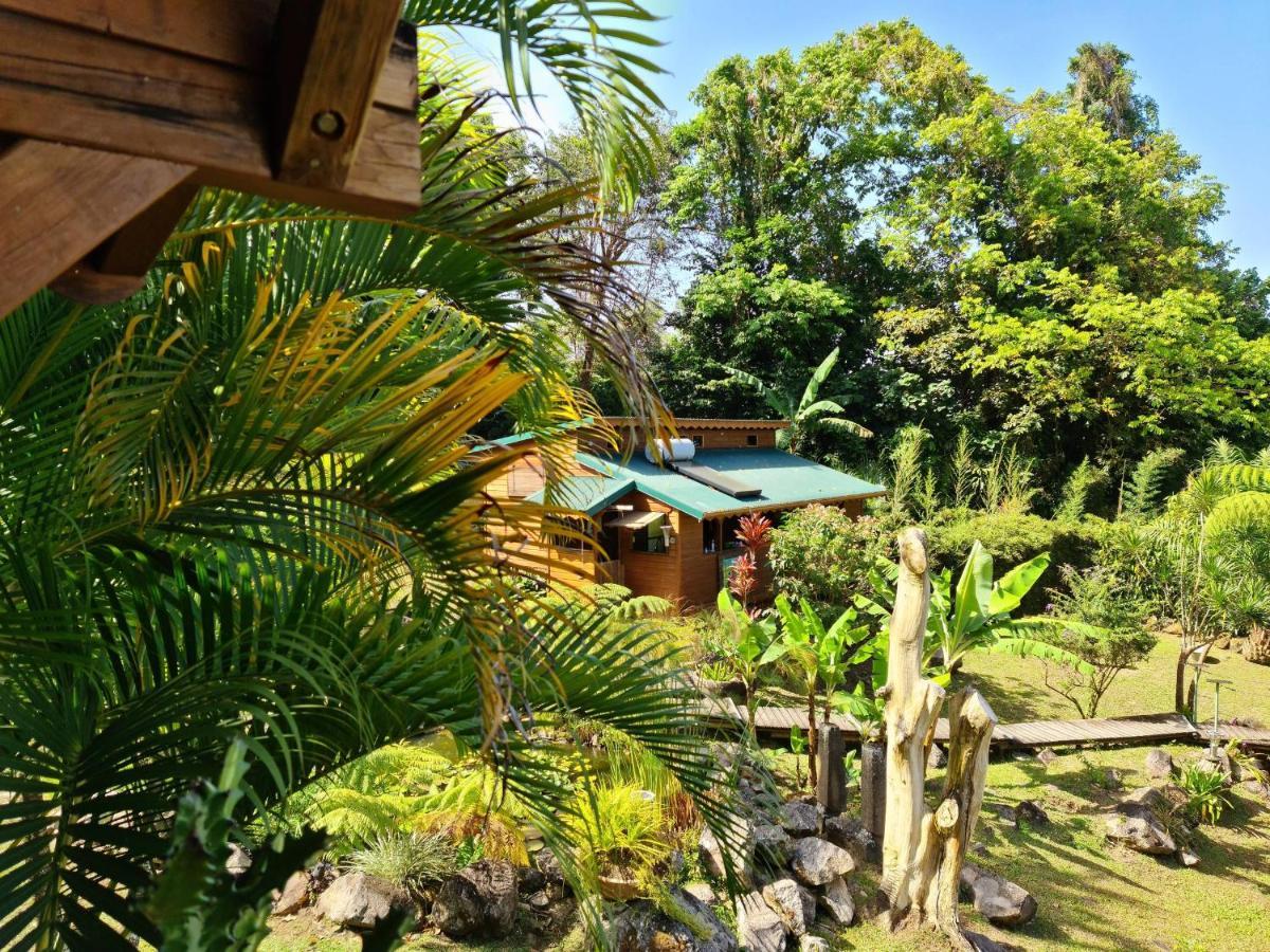 Les Bananes Vertes Ecolodges 생클로드 외부 사진