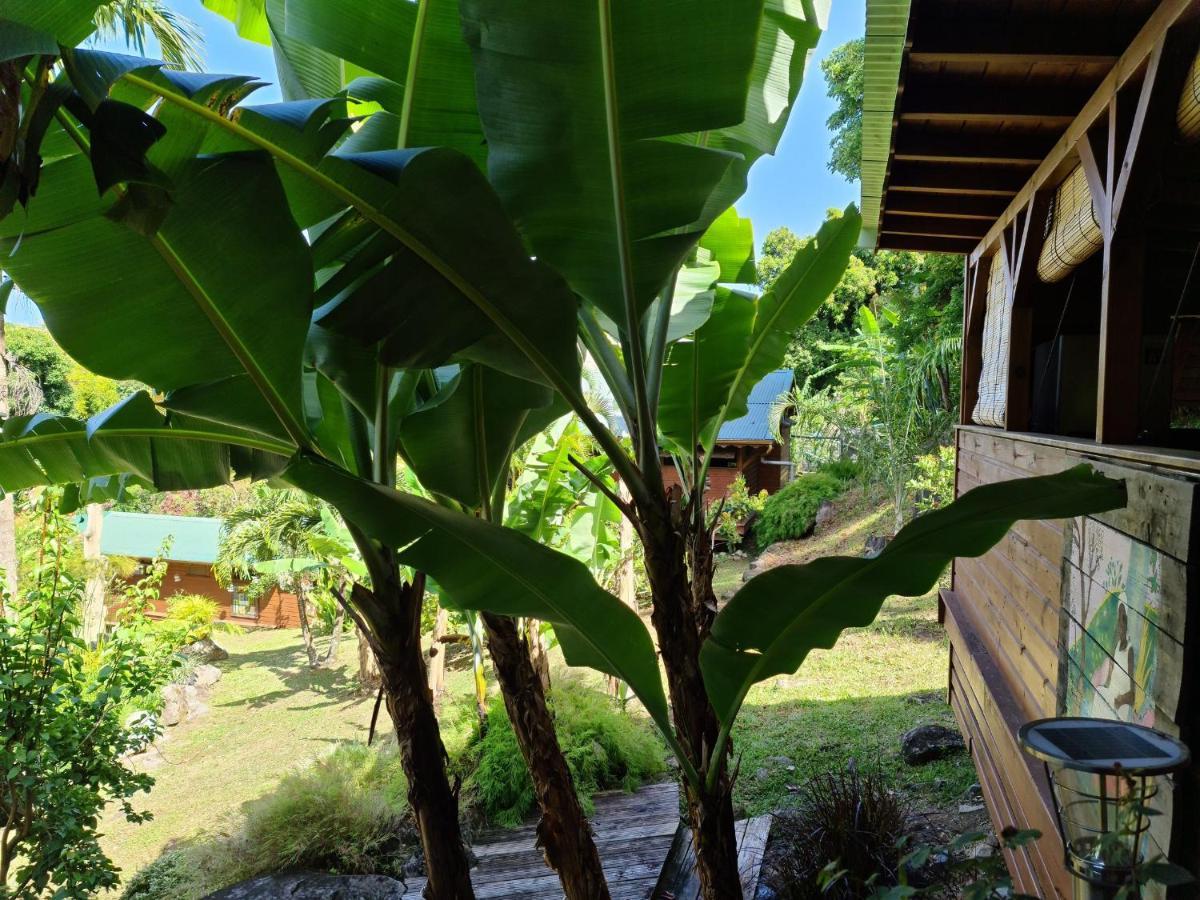 Les Bananes Vertes Ecolodges 생클로드 외부 사진