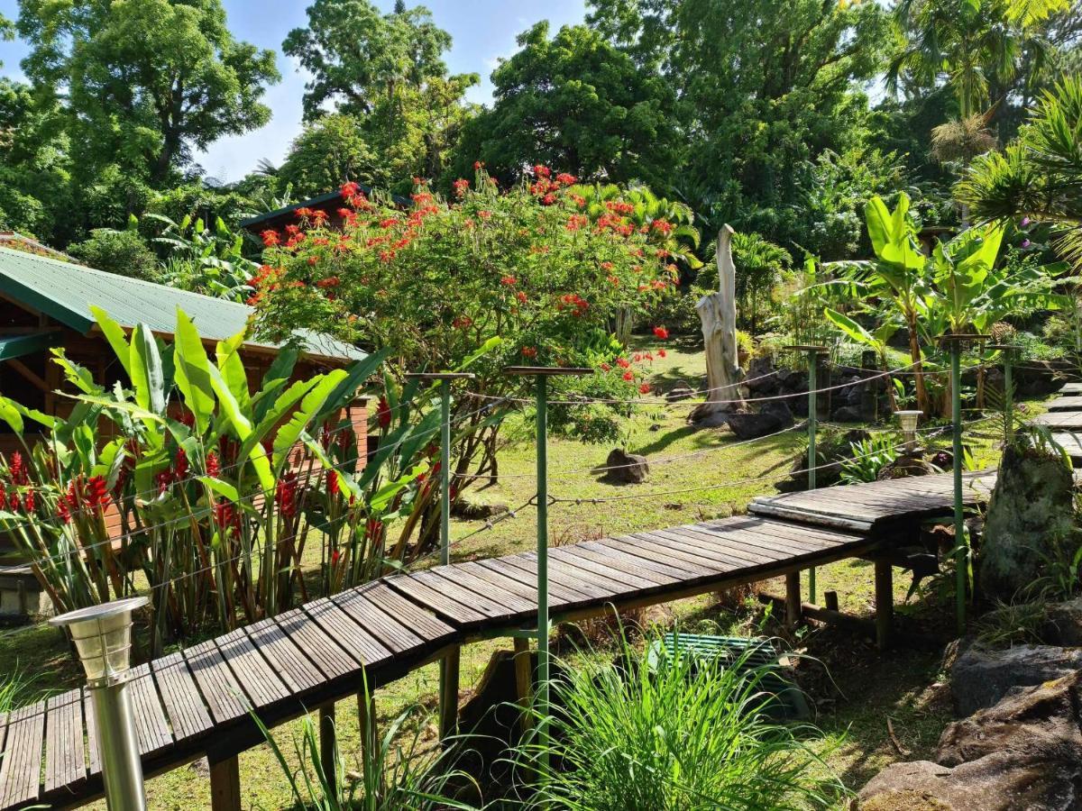 Les Bananes Vertes Ecolodges 생클로드 외부 사진