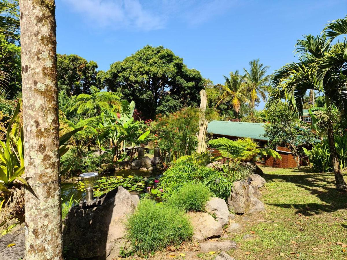 Les Bananes Vertes Ecolodges 생클로드 외부 사진