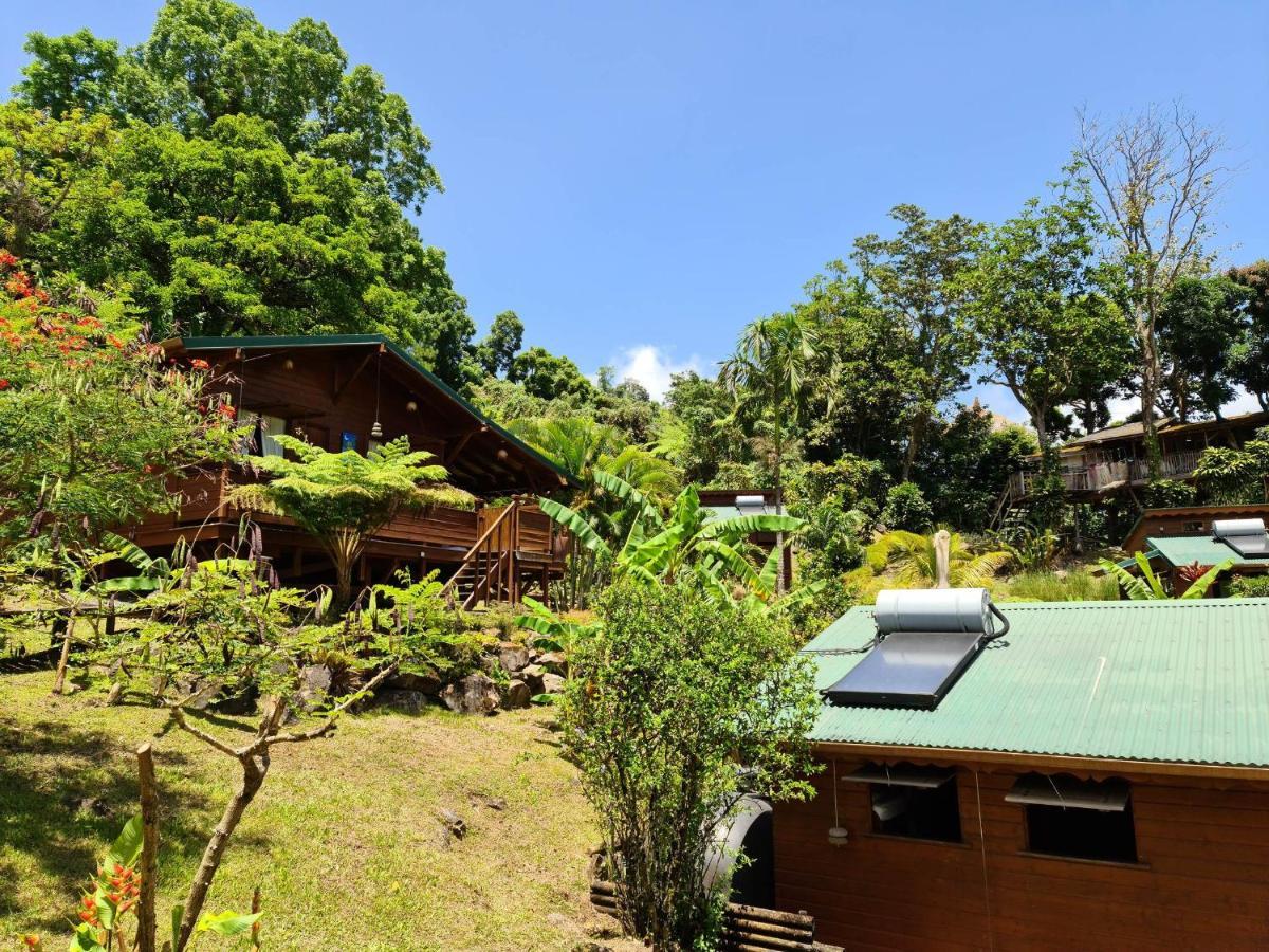 Les Bananes Vertes Ecolodges 생클로드 외부 사진