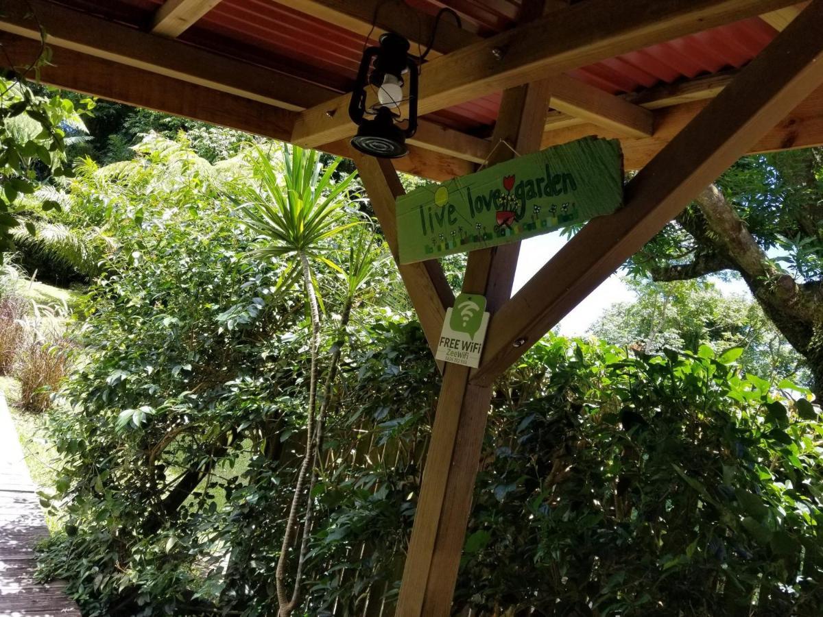 Les Bananes Vertes Ecolodges 생클로드 외부 사진