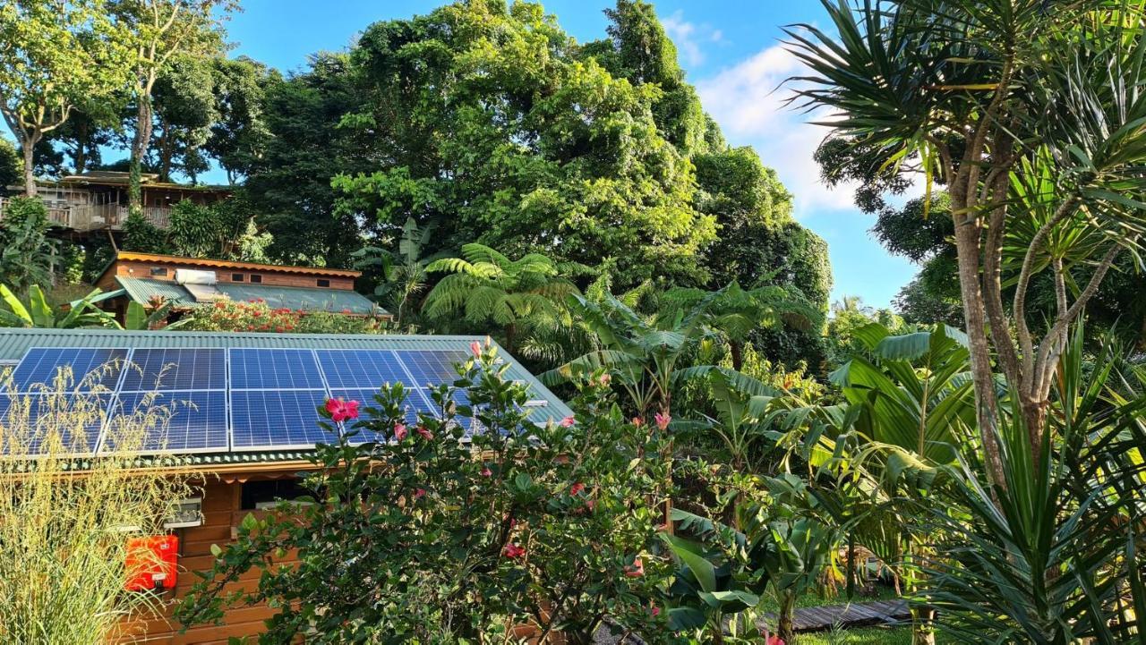 Les Bananes Vertes Ecolodges 생클로드 외부 사진