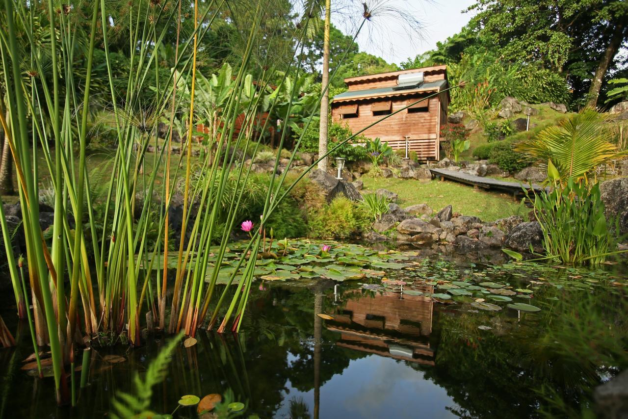 Les Bananes Vertes Ecolodges 생클로드 외부 사진